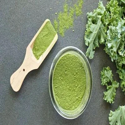 kale (2).webp